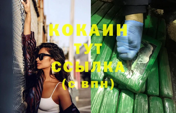 шишки Богородицк