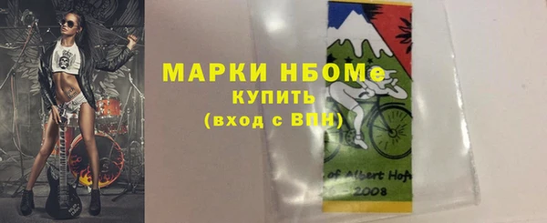 шишки Богородицк