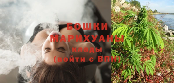 шишки Богородицк