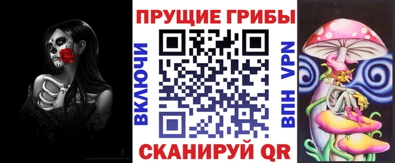 как найти закладки  Динская  Псилоцибиновые грибы мицелий 