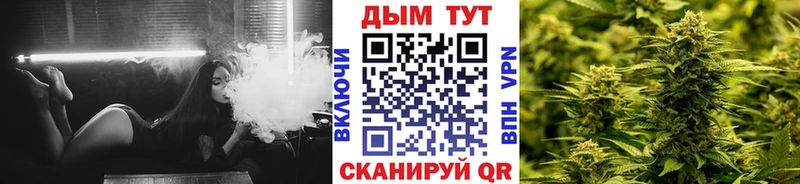 Бошки Шишки планчик  блэк спрут ТОР  Динская  как найти  
